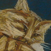 The Wyle Sleeps Tonight